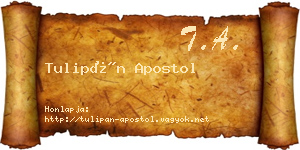 Tulipán Apostol névjegykártya